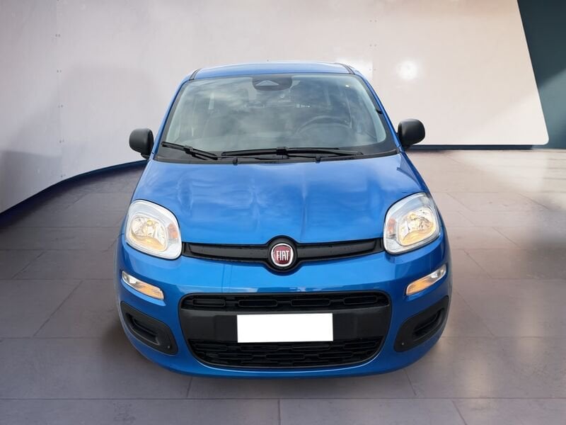 FIAT Pandina Panda My25 1.0 70cv Hybrid Panda ibrida usato a Torino
