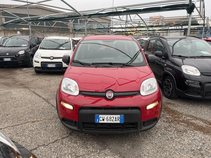 FIAT Panda My24 1.0 70cv Hybrid Panda  usato a Torino