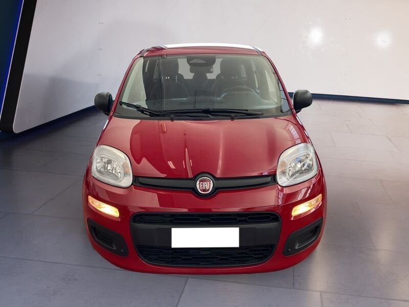 FIAT Pandina Panda My25 1.0 70cv Hybrid Panda  km0 a Torino