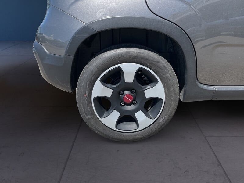 FIAT Panda Cross Panda III 2021 Cross Panda 1.0 firefly hybrid Cross s&s 70cv 5p.ti usato a Torino