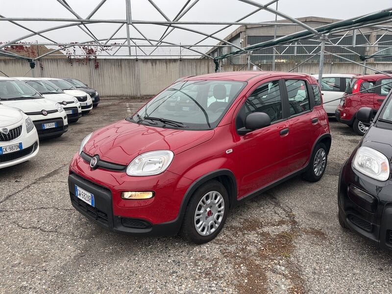FIAT Panda My24 1.0 70cv Hybrid Panda  usato a Torino