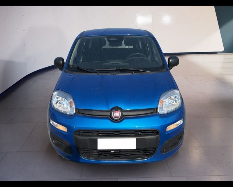 FIAT Pandina Panda My25 1.0 70cv Hybrid Panda ibrida usato a Torino