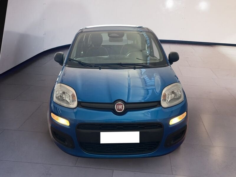 FIAT Pandina Panda My25 1.0 70cv Hybrid Panda ibrida usato a Torino
