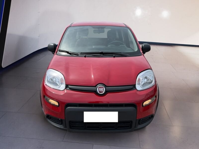 FIAT Panda My24 1.0 70cv Hybrid Panda  usato a Torino