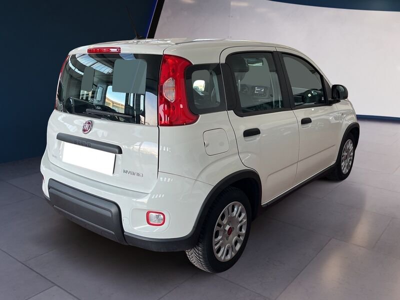 FIAT Panda III 2021 1.0 firefly hybrid s&s 70cv usato a Torino