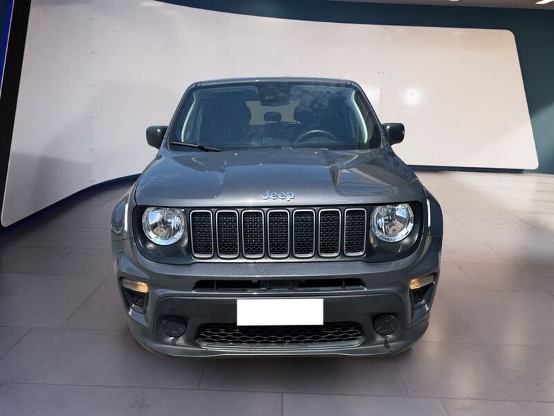 Jeep Renegade 2019 1.0 t3 Longitude 2wd  usato a Torino