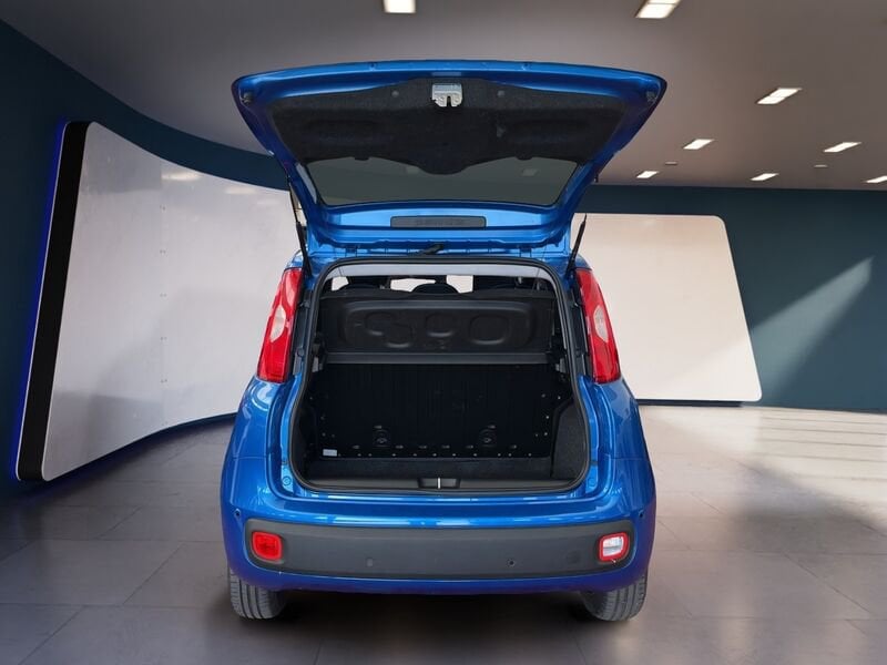 FIAT Pandina Panda My25 1.0 70cv Hybrid Panda usato a Torino