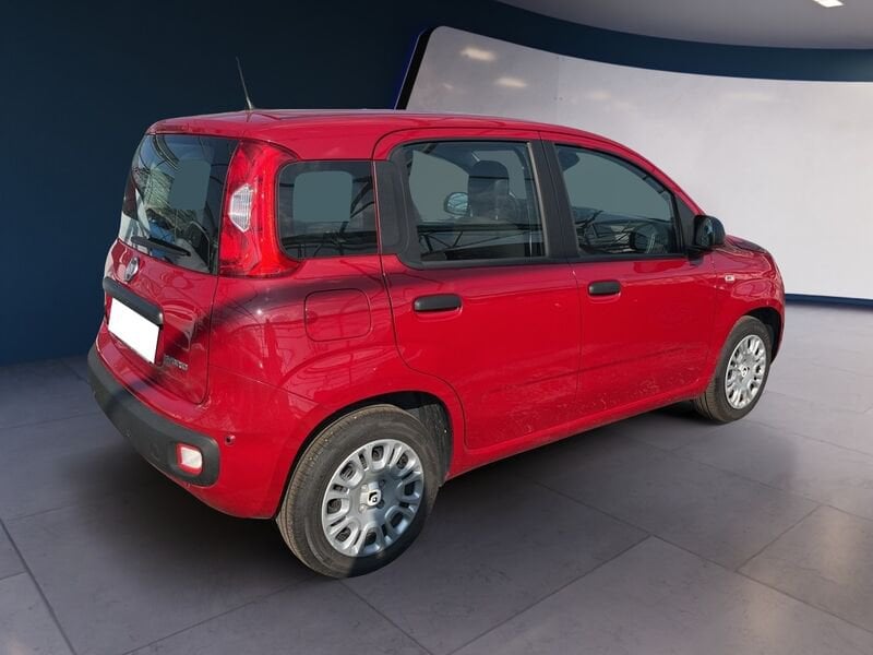 FIAT Pandina Panda My25 1.0 70cv Hybrid Panda ibrida usato a Torino