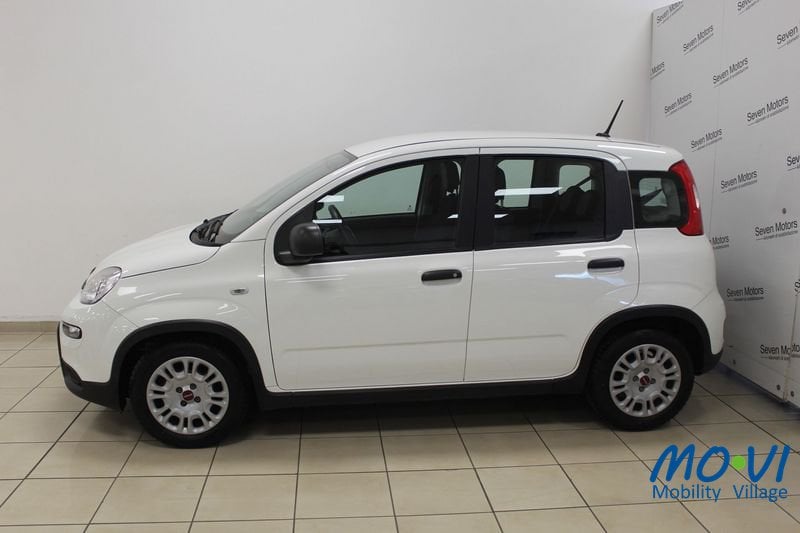 FIAT Panda 1.0 FireFly 70cv S&S Hybrid ibrido usata - 12