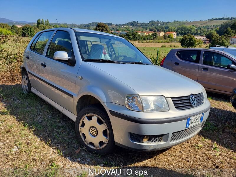 Volkswagen Polo Benzina Polo 1.4 cat 5 porte Comfortline Usata in provincia di Arezzo - Nuovauto S.p.a.